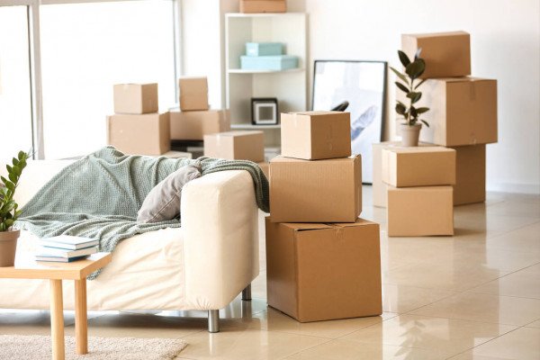 depositphotos 254781428 stock photo furniture belongings and moving