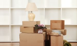 moveco 09 e1640003317764