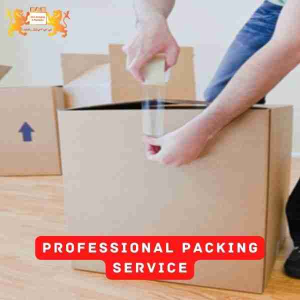professional packing movers