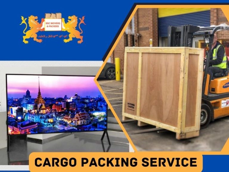 Cargo Packing Service