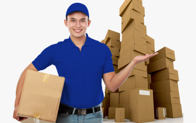 775-7751057_packers-and-movers-movers-and-packers-packers-and
